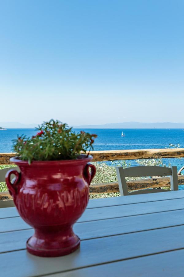 Hotel Stamatiou Estate Neo Klima Exteriér fotografie